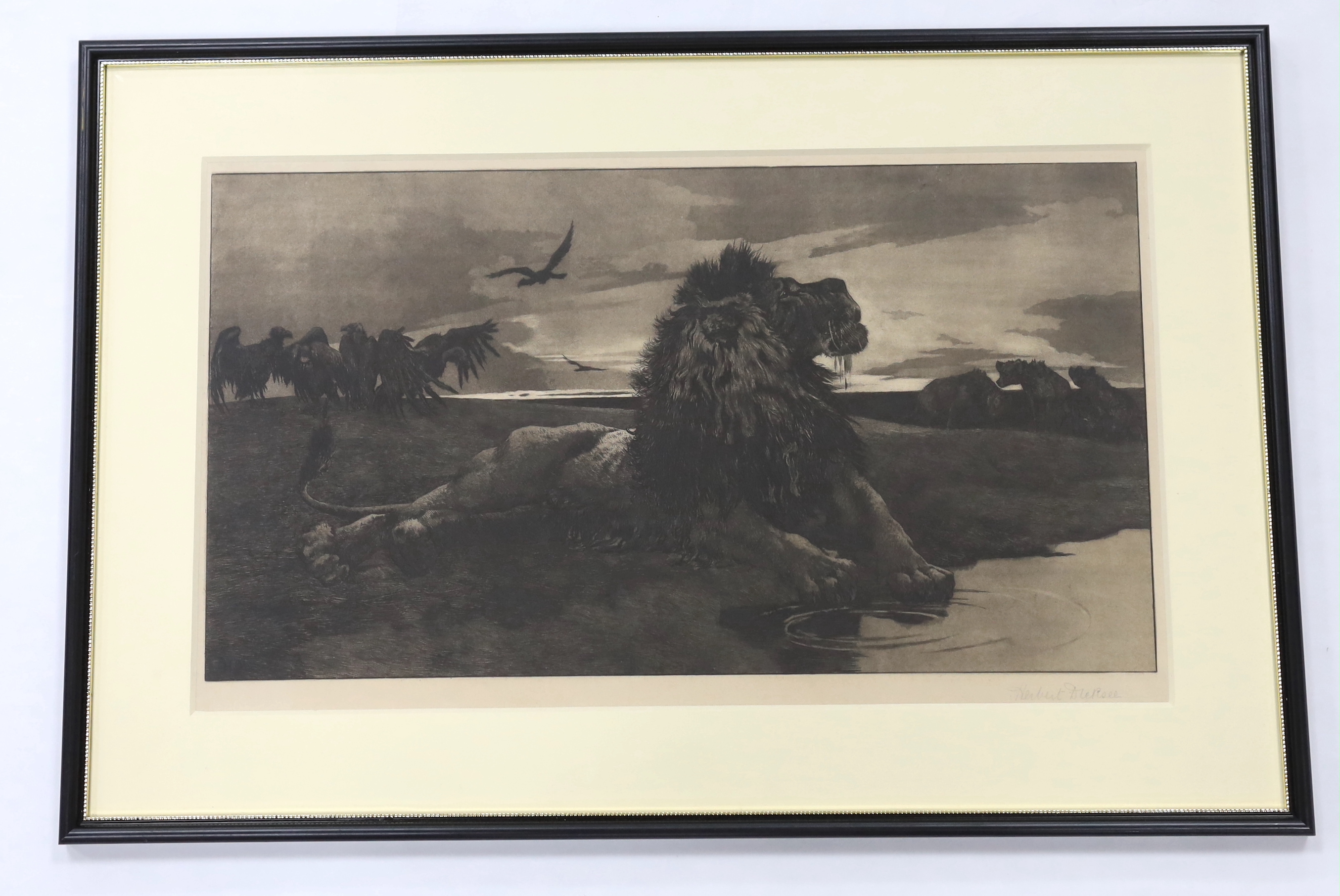 Herbert Dicksee (1862-1942), etching, The Dying Lion, signed in pencil, publ.1887, 27 x 46cm